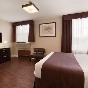 Chambre Standarde Lit Queen-Size